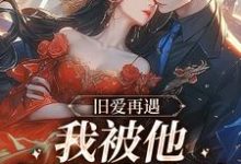 旧爱再遇，我被他钉在表白墙小说全文阅读需要付费吗？寻找免费资源-扫文君