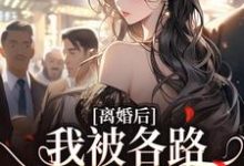 完结版《离婚后，我被各路大佬缠上了》章节目录在线阅读-扫文君
