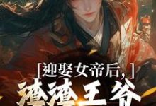 迎娶女帝后，渣渣王爷你可倒霉咯小说，迎娶女帝后，渣渣王爷你可倒霉咯最新章节-扫文君
