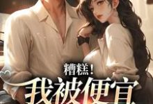求糟糕！我被便宜老公缠上了小说免费资源-扫文君