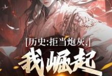 历史：拒当炮灰，我崛起收复河山最新章节，历史：拒当炮灰，我崛起收复河山免费阅读-扫文君