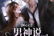 完结版《断心后，男神说他又上头了》章节目录在线阅读-扫文君