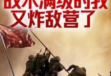 林天尘王建堂小说抗战：战术满级的我又炸敌营了在线阅读-扫文君
