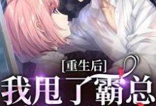 《重生后，我甩了霸总享单身夜》小说章节在线试读，《重生后，我甩了霸总享单身夜》最新章节目录-扫文君