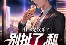 打牌是娱乐？别扯了，和打仗差不多高林赵桂菊小说完结版章节在线阅读-扫文君