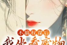 不搞权谋后，我坐看废物儿女作死小说的最新章节在哪里更新？免费追踪阅读-扫文君