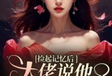 小说《捡起记忆后，大佬说他要娶黑莲花》章节阅读-扫文君