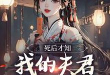 死后才知，我的夫君早就不在了小说最新更新在哪里？免费在线看-扫文君