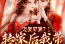 宠妾灭妻？转嫁后我带皇子夺王位小说的所有章节都能在哪里免费读到？-扫文君