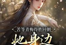 陆羽李琼月小说苦等青梅得胜回朝，她身边已配良人在线阅读章节-扫文君