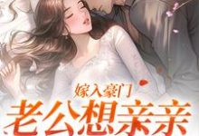 小说《嫁入豪门，老公想亲亲就先虐渣》在线章节阅读-扫文君