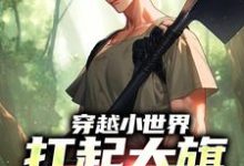 已完结小说《穿越小世界，扛起大旗就是干》章节在线阅读-扫文君