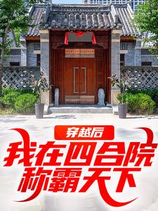 完结版《穿越后，我在四合院称霸天下》免费阅读