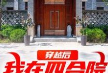 穿越后，我在四合院称霸天下免费阅读，穿越后，我在四合院称霸天下何雨柱-扫文君