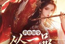 黄袍加身，从一品侯爵开始（卫小宝韦小宝）在线免费阅读-扫文君