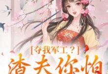 小说《夺我军工？渣夫你怕是没命享》章节免费阅读-扫文君