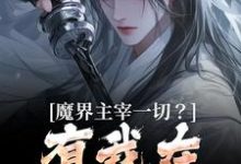 寻找能够免费阅读魔界主宰一切？有我在谁敢造次小说的平台-扫文君