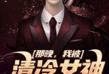 完整版的那晚，我被清冷女神强吻了小说在哪里可以免费读到？-扫文君