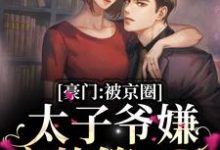 小说《京爷别装了,小心追妻火葬场》章节免费阅读-扫文君