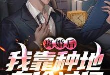 离婚后，我靠种地身价过亿小说全文阅读需要付费吗？寻找免费资源-扫文君