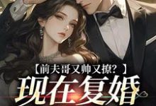 前夫哥又帅又撩？现在复婚来得及吗安婳肖政，前夫哥又帅又撩？现在复婚来得及吗小说免费阅读-扫文君