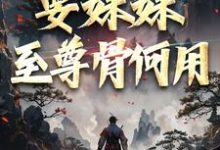 系统在手！要妹妹至尊骨何用小说，系统在手！要妹妹至尊骨何用在线阅读-扫文君