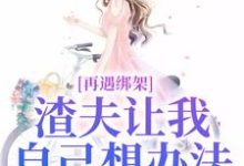 再遇绑架，渣夫让我自己想办法小说的无弹窗阅读体验，寻找免费阅读网站-扫文君