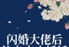 寻找能够免费阅读闪婚大佬后，他专宠小娇娇小说的平台-扫文君