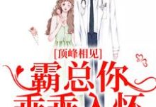 陆随舟孟汀羽小说顶峰相见，霸总你乖乖入怀在线阅读章节-扫文君