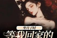 已完结小说《坐月子时，等我回家的前夫疯了》最新章节-扫文君