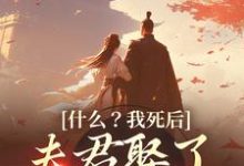 什么？我死后，夫君娶了小白莲小说有没有完结版在线？-扫文君