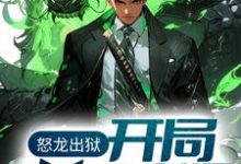 《怒龙出狱：开局奉旨成婚》全集免费在线阅读（陈平安沐婉橙）-扫文君