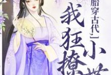 唐婳祁怀胤小说在线章节免费阅读(胎穿古代,我狂撩小世子无弹窗无删减)-扫文君