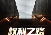 《权利之路：我到底是谁》全集免费在线阅读（郝晓东舒雨晴）-扫文君