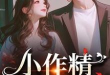 小作精，我看上你啦小说完结版章节免费阅读-扫文君