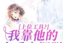 《上位工具？我靠他的宠爱来摆脱》全集免费在线阅读（林栀秦肆）-扫文君