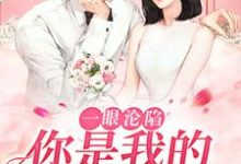 贺凛徐柠小说一眼沦陷：你是我的命中注定在线阅读-扫文君