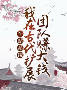 补贴系统：我在古代扩展团队赚大钱免费阅读，补贴系统：我在古代扩展团队赚大钱赵百汇赵锦衣