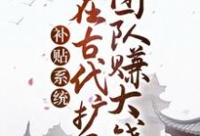 补贴系统：我在古代扩展团队赚大钱小说，补贴系统：我在古代扩展团队赚大钱最新章节-扫文君