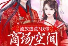 林书棠段砚洲小说叫什么(流放逃荒?我带商场空间活的舒服嘞免费阅读)-扫文君