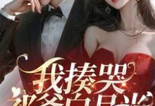 我揍哭祁爷白月光,婚戒扔他脸上小说完结版章节免费阅读-扫文君