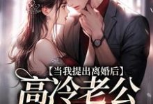 已完结小说《当我提出离婚后，高冷老公哭红了眼》在线章节阅读-扫文君