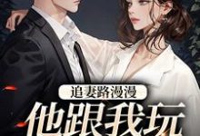 《追妻路漫漫，他跟我玩攻心计》小说章节在线试读，《追妻路漫漫，他跟我玩攻心计》最新章节目录-扫文君