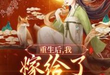 重生后，我嫁给了太子他太傅小说最新更新在哪里？免费在线看-扫文君