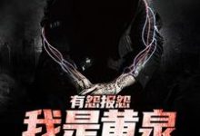 有怨报怨，我是黄泉摆渡人这本小说完结了吗？免费查看最新章节-扫文君