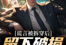 求谎言被拆穿后，留下破损的婚姻小说的全文免费阅读链接-扫文君