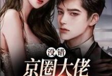 完结版《没错，京圈大佬就是没她不行》章节阅读-扫文君
