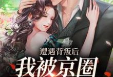沈星辰霍归之小说遭遇背叛后，我被京圈大佬捡回家在线阅读-扫文君