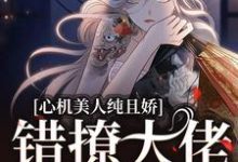心机美人纯且娇，错撩大佬软了腰宁姜京辞在线章节免费阅读-扫文君