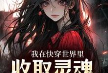 在线寻找我在快穿世界里，收取灵魂当报酬小说的无删减版本-扫文君